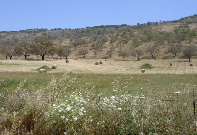 005-03.jpg