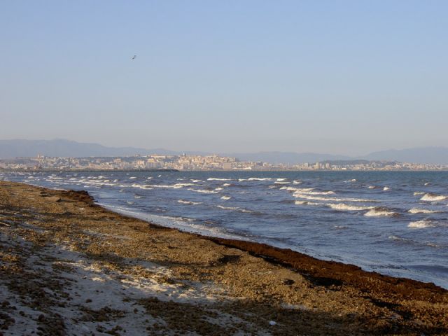 013-01.JPG