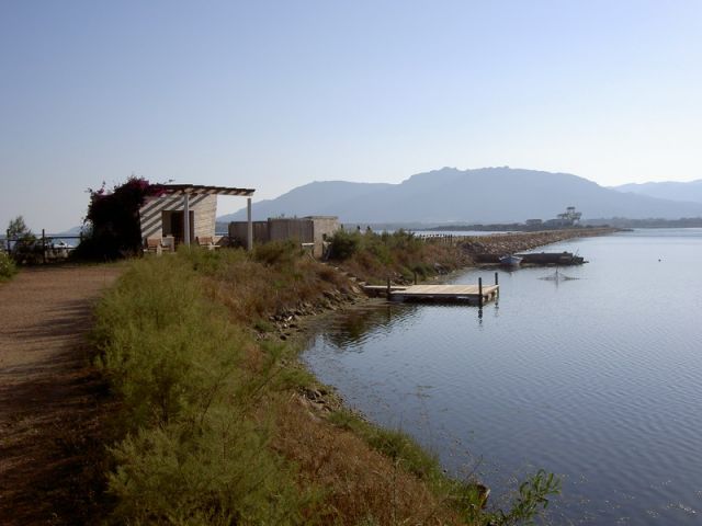 010-03.JPG