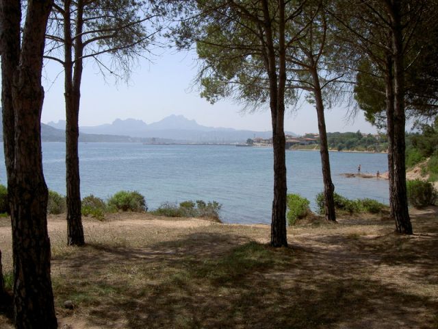 004-01.JPG