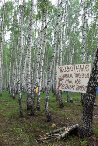 ЕСТЬ ЗДЕСЬ И ТАКИЕ
