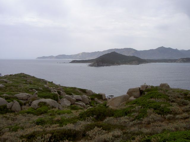 002-03.JPG