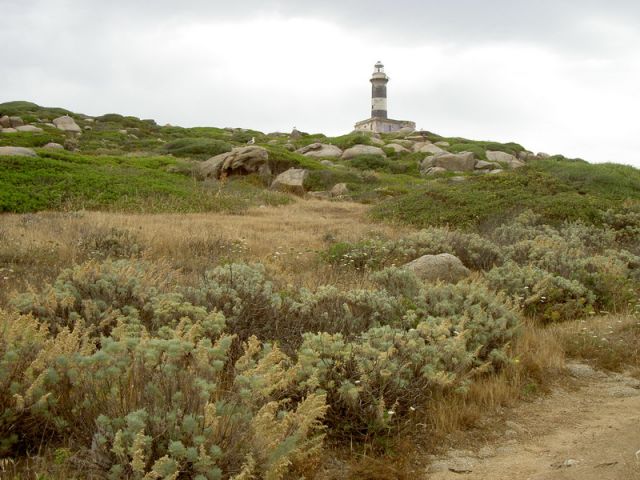 002-02.JPG
