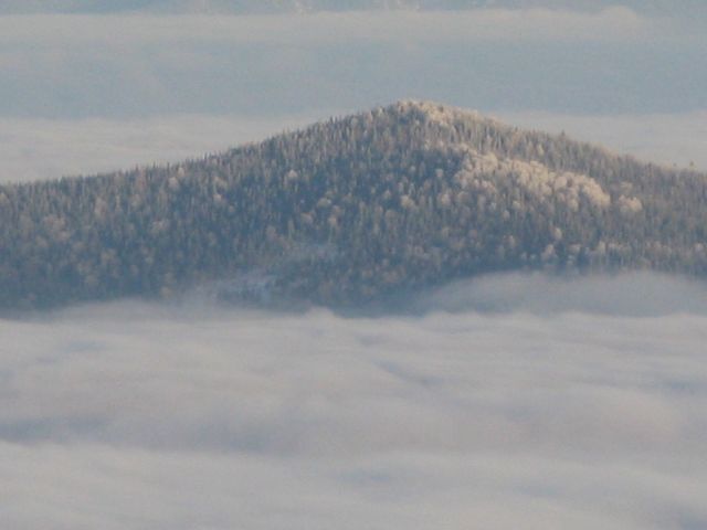 IMG_0081.jpg
