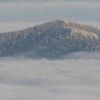 IMG_0081.jpg