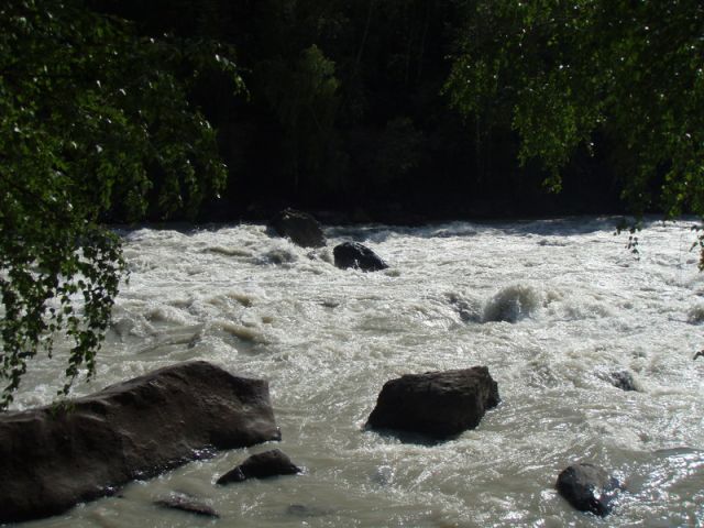 08.JPG