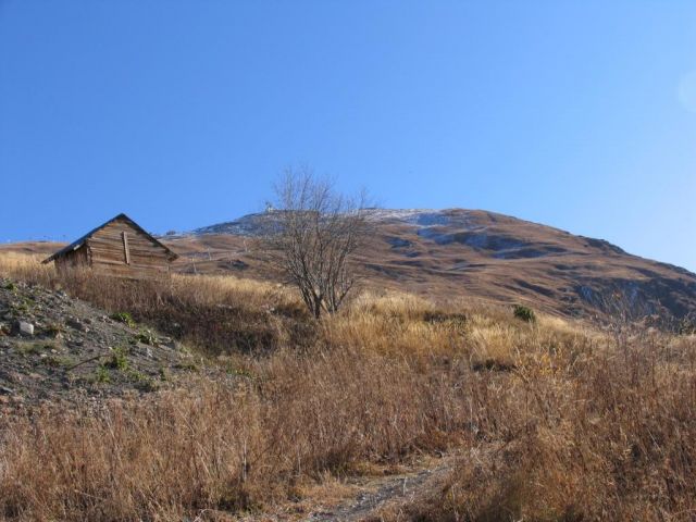 IMG_2486.jpg