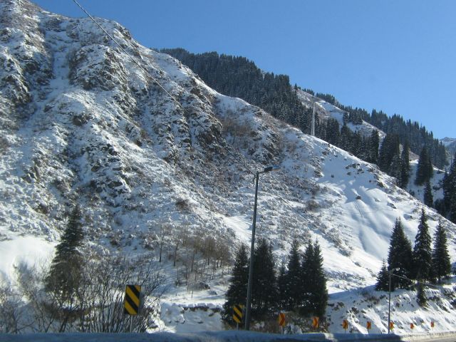 IMG_0009.jpg