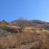 IMG_2486.jpg