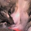 DSC00004.JPG