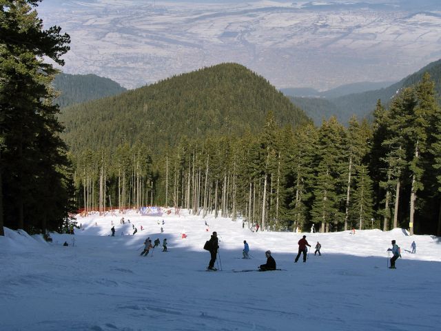 P1010990.JPG