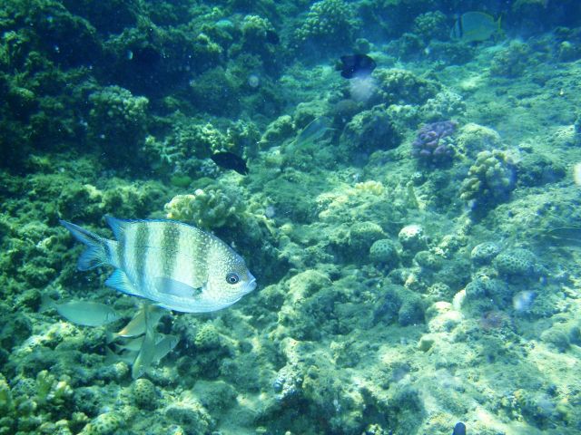 PA250465.jpg