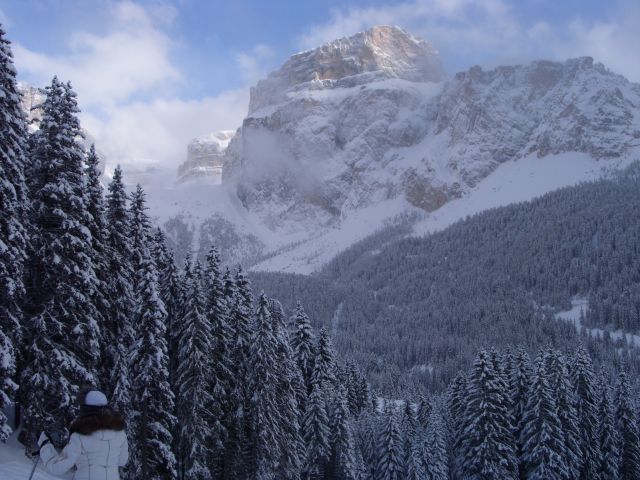 ST830370.JPG