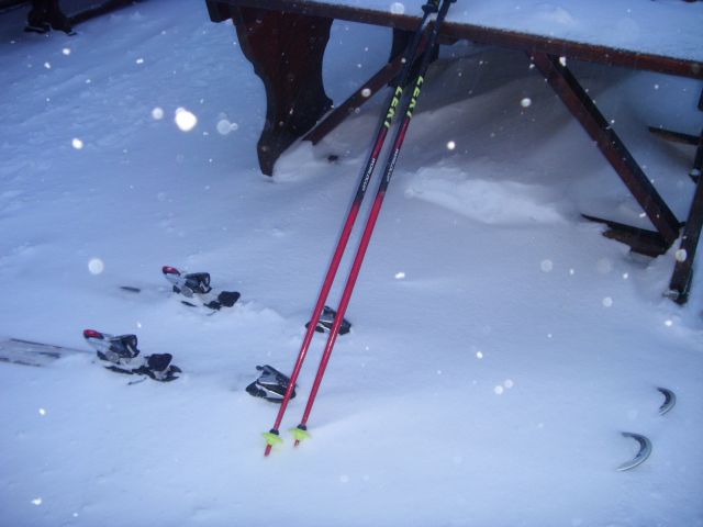 ST830479.JPG