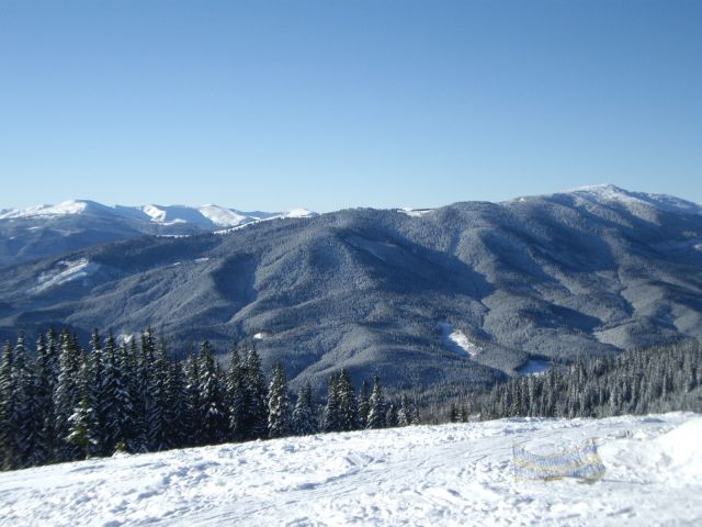 IMG_1998.JPG