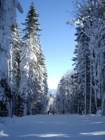IMG_2040.JPG