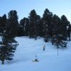 IMG_1532.JPG