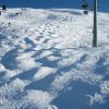 IMG_1686.JPG