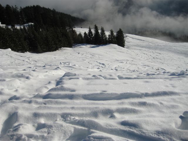 IMG_1750.JPG