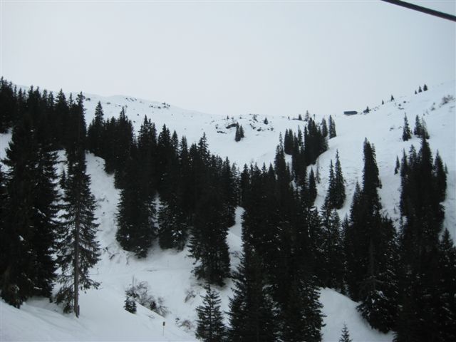IMG_1857.JPG