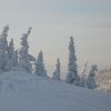 IMG_2072.JPG