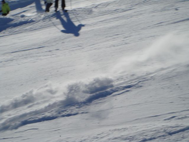 DSC05649.JPG