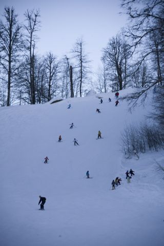 IMG_0341.jpg