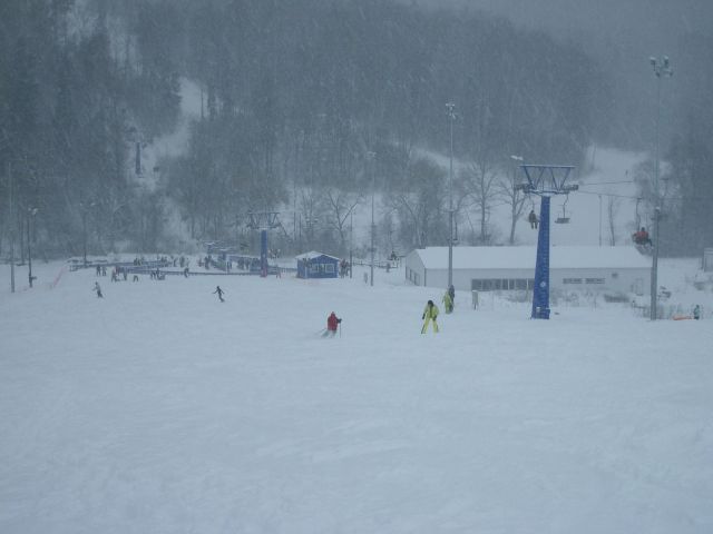 IMGP0024.JPG