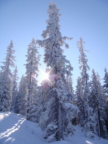 Kitzbuhel12.JPG