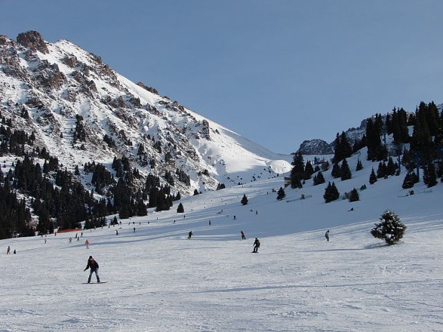 82183736.jpg