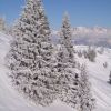 Kitzbuhel6.JPG