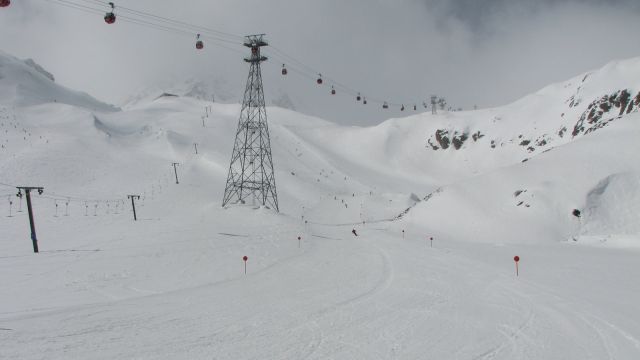 IMG_1011.jpg