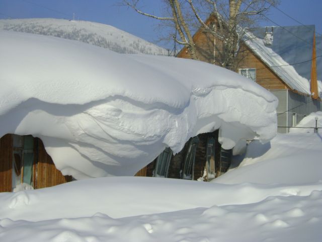 DSC00201.jpg