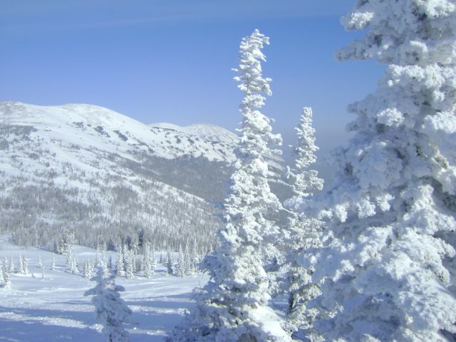 DSC00148.jpg