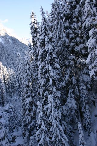 IMG_6524.JPG