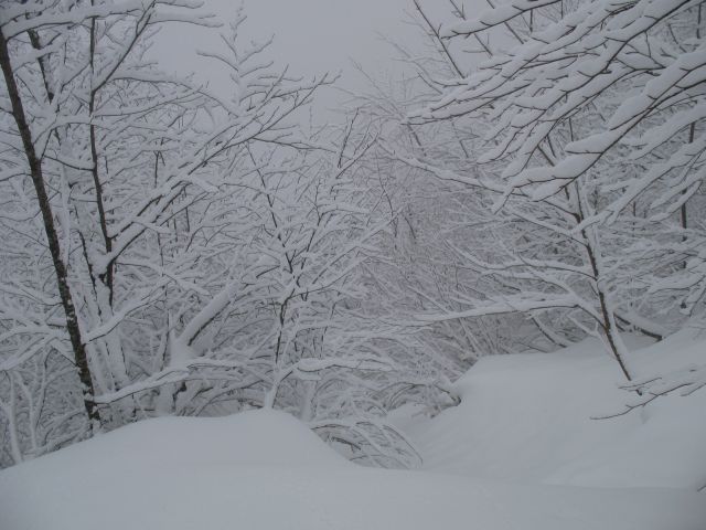 IMG_4284.JPG