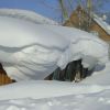 DSC00201.jpg