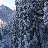 IMG_6524.JPG