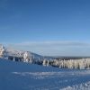 IMG_3427.JPG