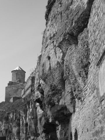 P2232635.jpg