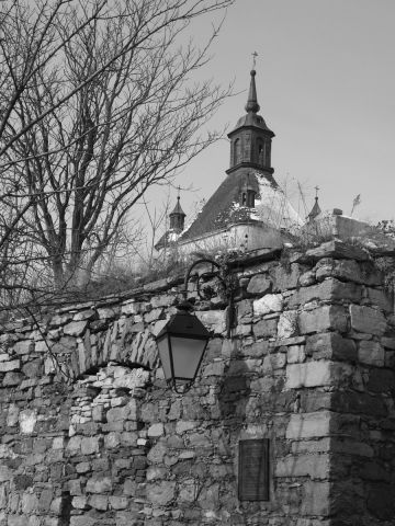 P2232664.jpg