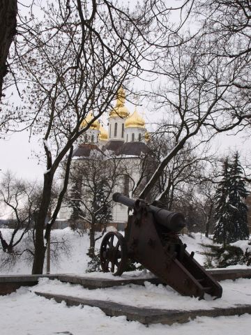 P2252734.jpg