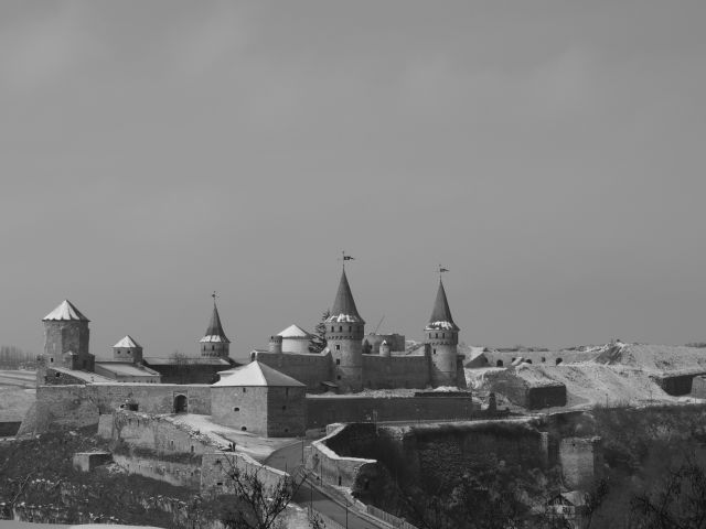 P2232595.JPG