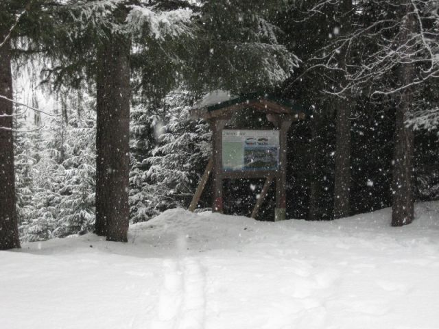 Resized IMG_2202.jpg