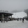 Resized IMG_2203.jpg