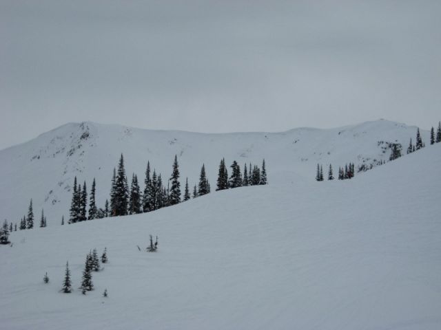 Resized IMG_2425.jpg