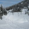 Resized IMG_2221.jpg