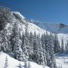 Resized IMG_2298.jpg
