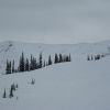 Resized IMG_2425.jpg