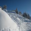 Resized IMG_2361.jpg